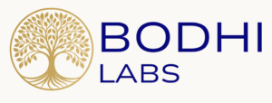 bodhilabs.digital