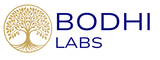 bodhilabs.digital