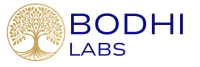 bodhilabs.digital